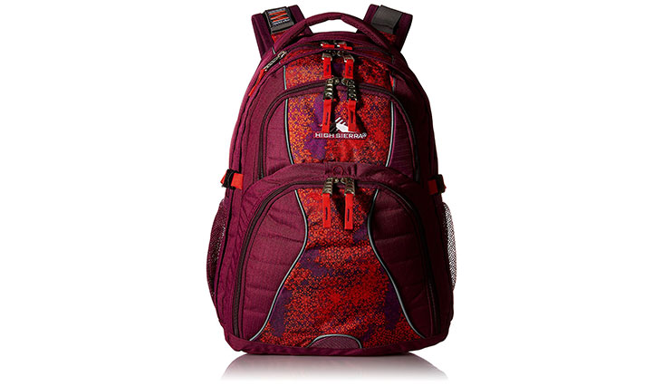 High Sierra Swerve Backpack