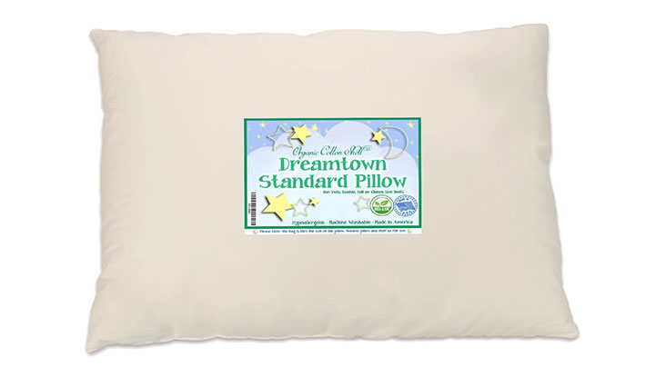 Dreamtown Kids Standard Size Pillow with Organic Cotton Shell 20x26 Tan, Stuffed To Be Slim For Kids And Stomach Sleepers, Made In USA